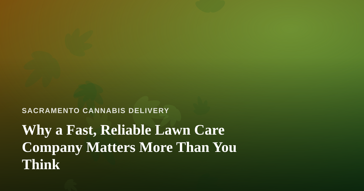Why a Fast, Reliable Lawn Care Company Matters More Than You Think